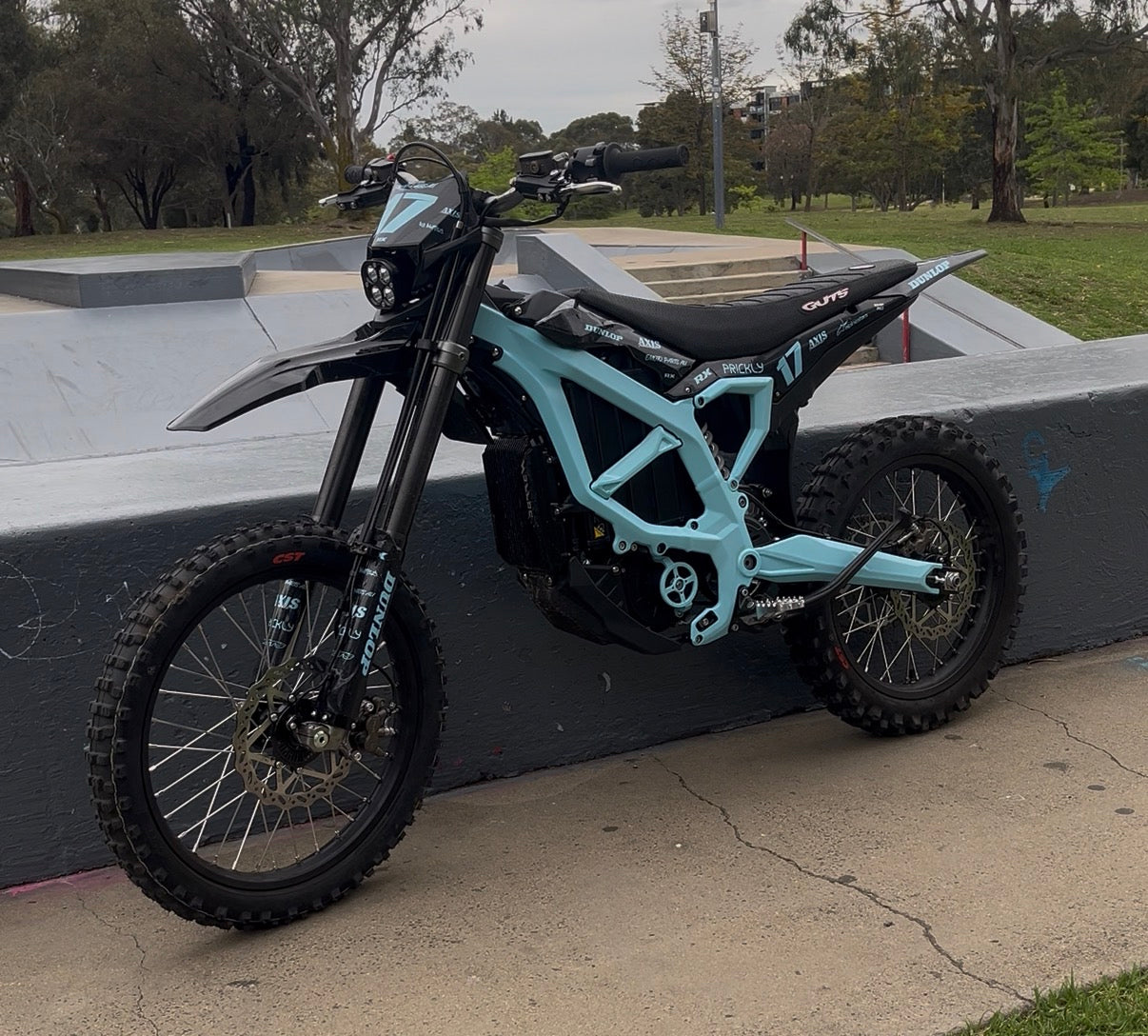 Ultra Bee Frame Guards